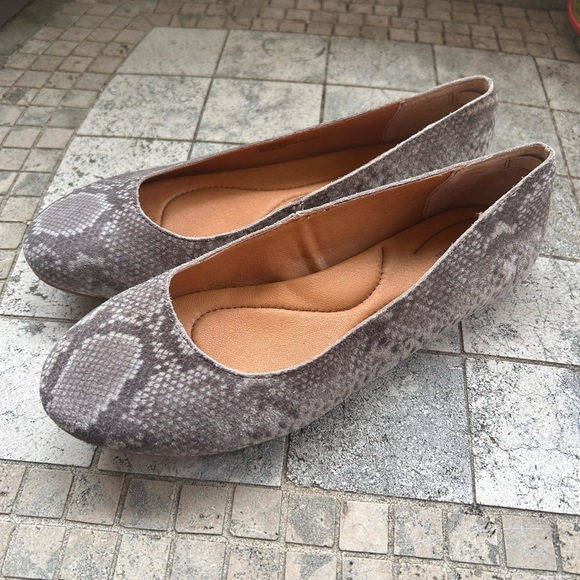 Börn Adore Gray Snakeskin Patterned Women's Flats Sz 6.5 Nwob - Picture 1 of 4